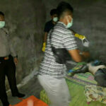 2abf06f14500adfcac427antv-137359