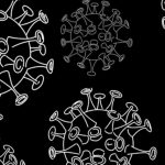 e675cce1e55a0f1a1ed611w8t-158748