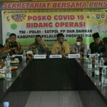 23eec1d356aeeaef157d66g8a-159212