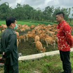ab4392a7ff8c7c826bcff6wtn-159123