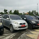 bf33097afcebab29db7925paw-163874