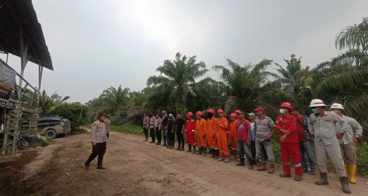 IMG-20260826-WA0006