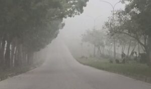 IMG-20261015-WA0004